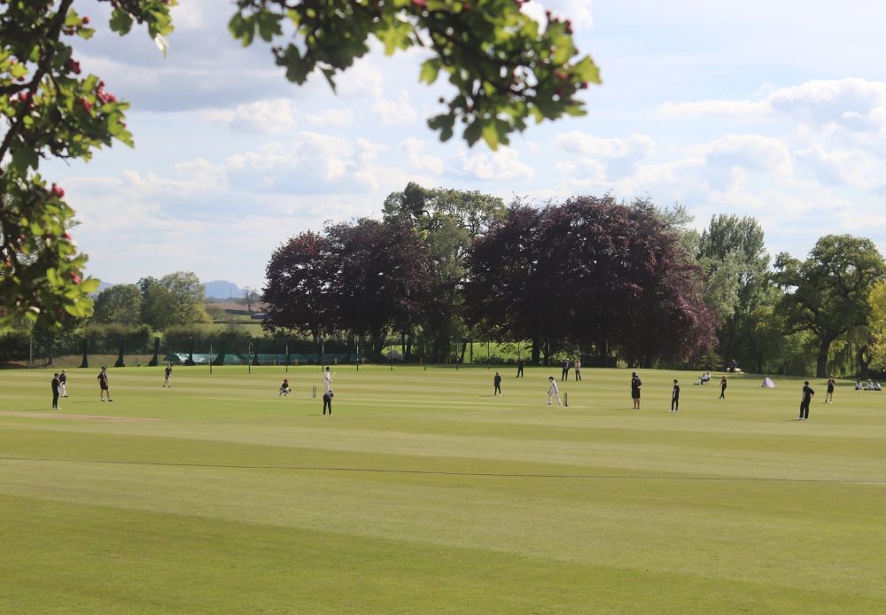 Sports field